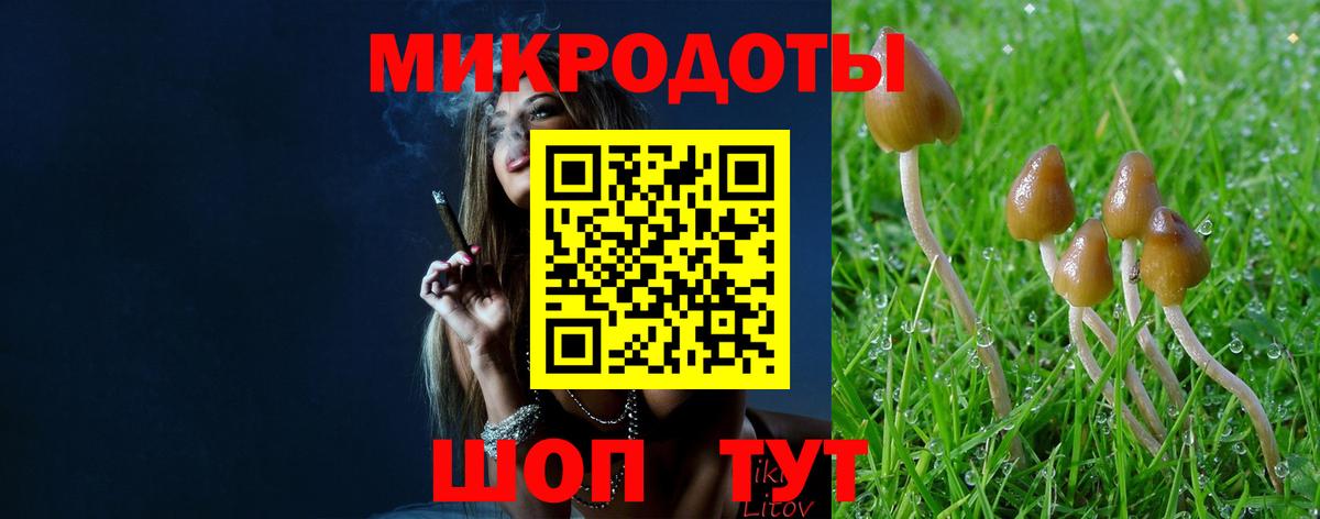 Псилоцибиновые грибы мухоморы  Вход с VPN  Галлюциногенные грибы мухоморы  Сосновоборск 